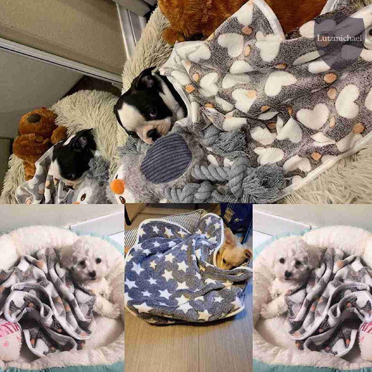 Soft best sale puppy blankets